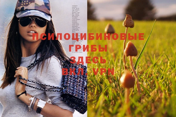 метамфетамин Осинники