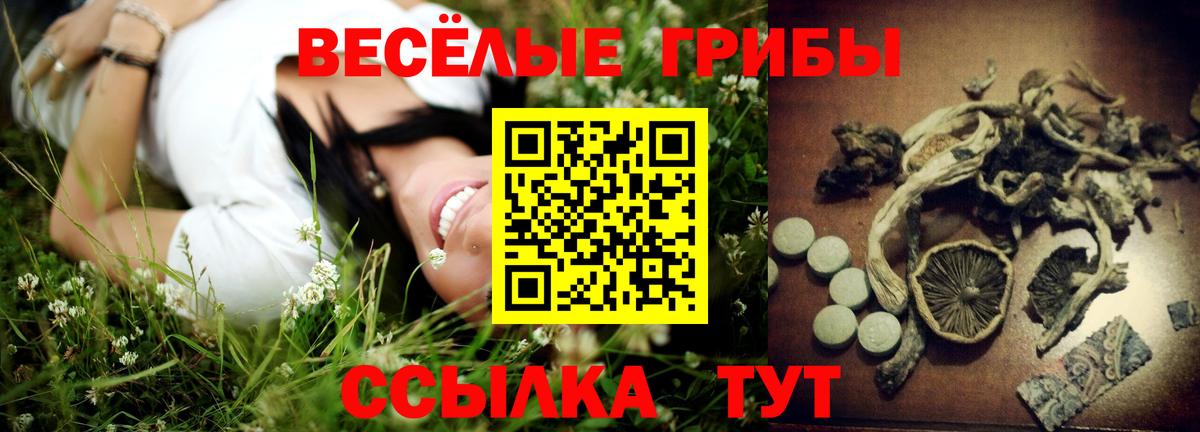 Псилоцибиновые грибы Psilocybine cubensis  Воронеж  Псилоцибиновые грибы мицелий 